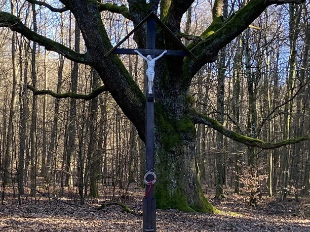 Krohkreuz (01)