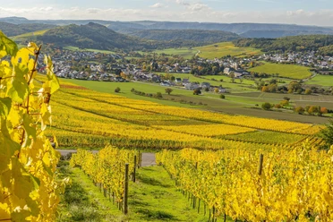 Blick auf Oberemmel