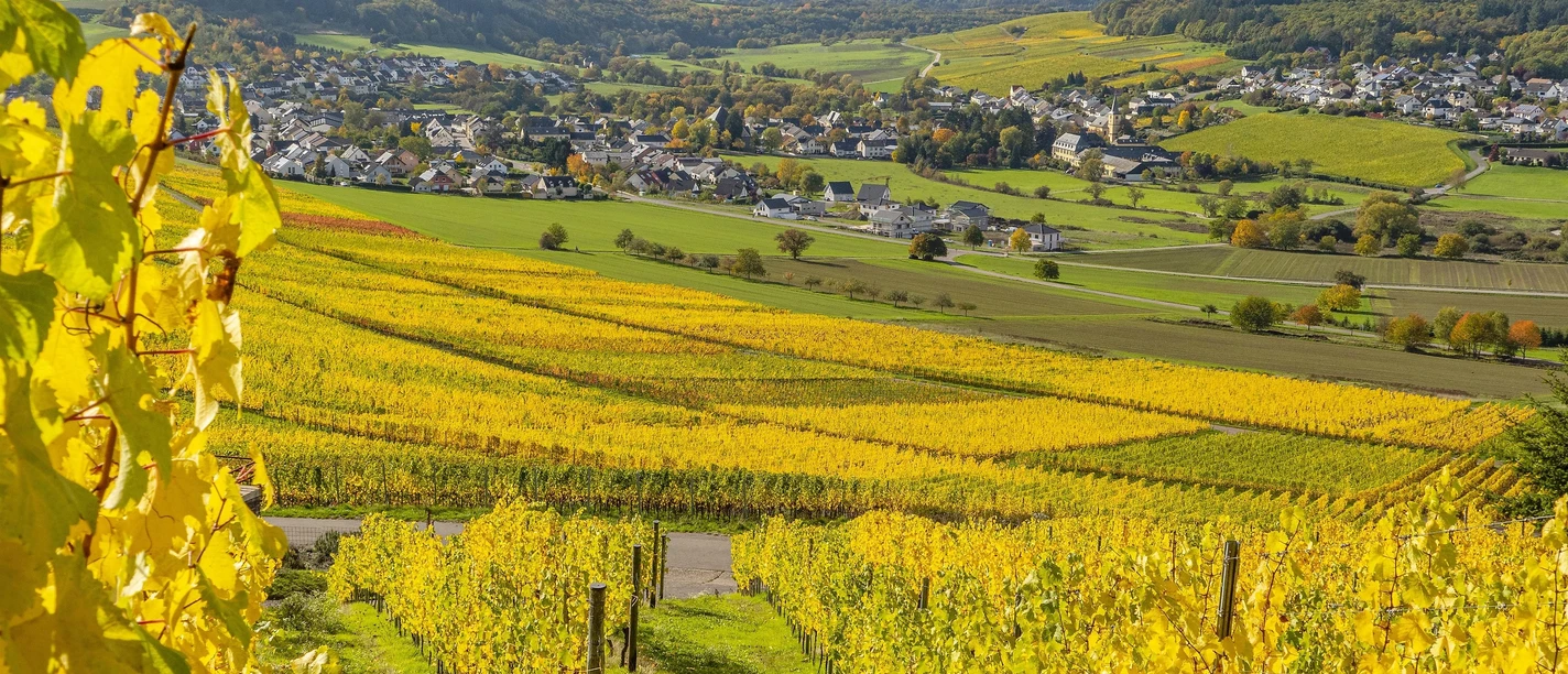 Blick auf Oberemmel