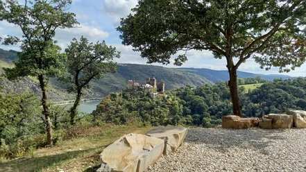 Schönburgblick