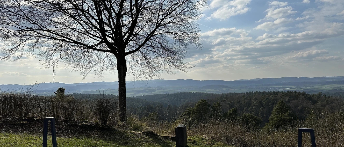 Ausblick Terasse