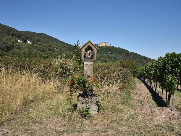 Bildstock bei Maikammer