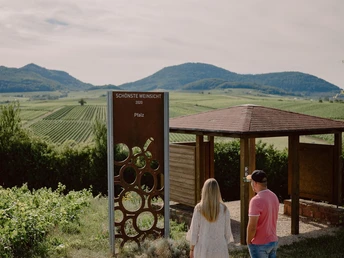 Schönste Weinsicht der Pfalz 2020