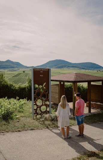 Schönste Weinsicht der Pfalz 2020