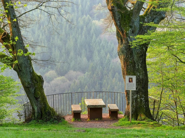 Elisensitz Kastel-Staadt