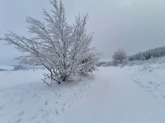 Winter im GesundLand Vulkaneifel