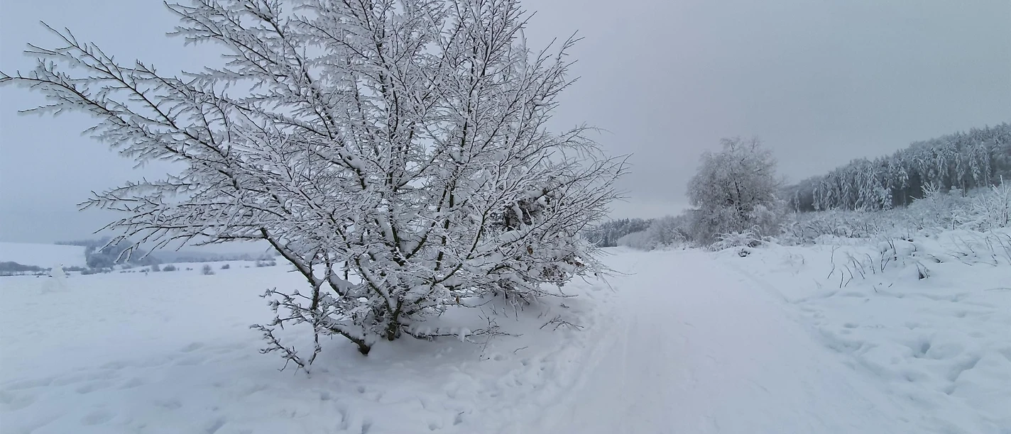 Winter im GesundLand Vulkaneifel