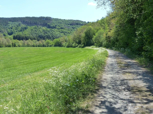 GPS-Tour Weg
