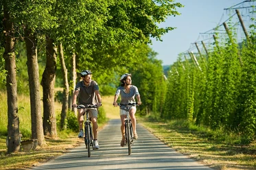 Radfahrer auf dem Prüm-Radweg