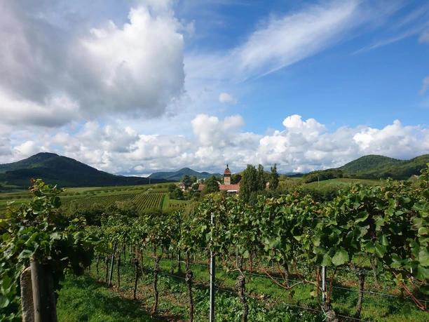 Blick auf den Geilweilerhof