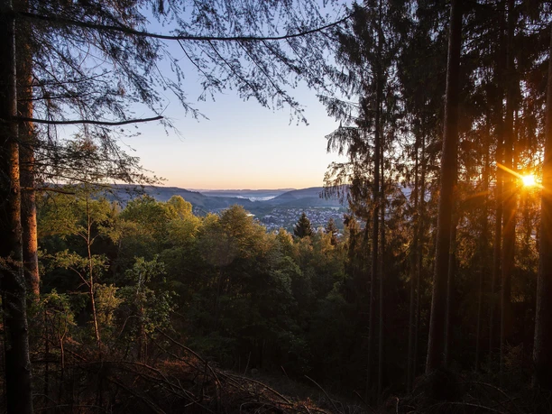 Aussichtspunkt mit Blick auf Saarburg (02)