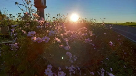 Sonnenuntergang