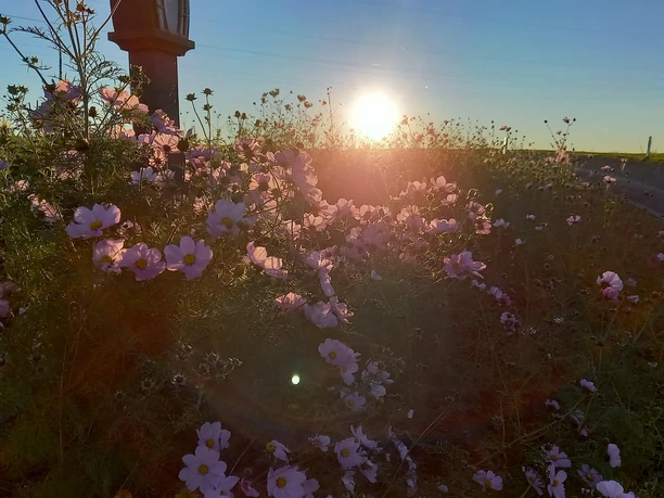 Sonnenuntergang