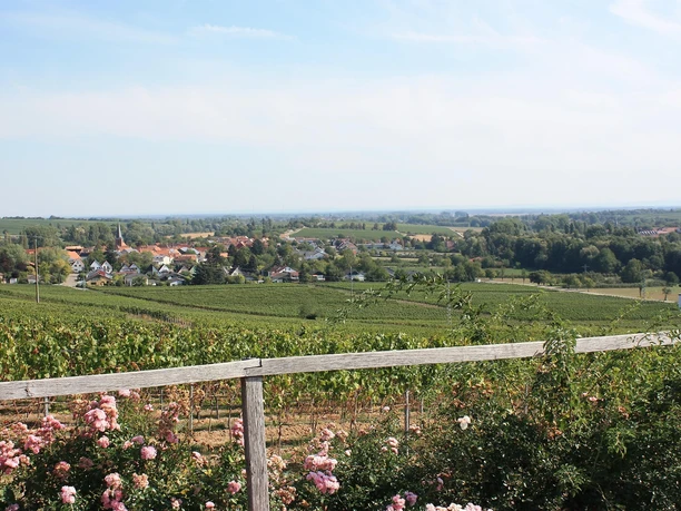 ... und eine tolle Aussicht.