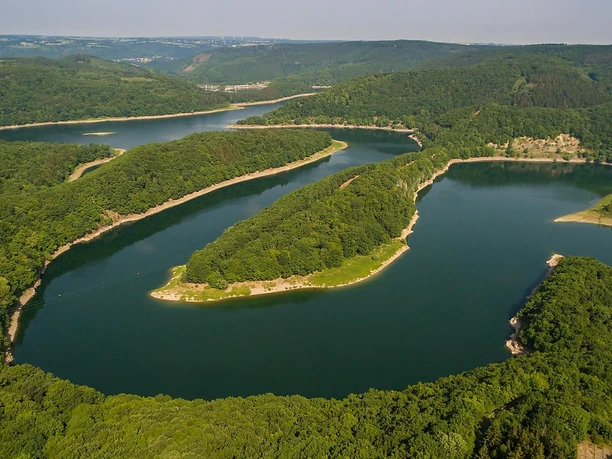 Blick in den Nationalpark Eifel