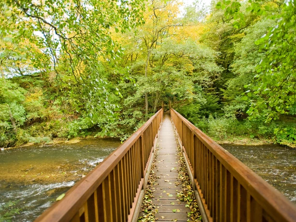 Nisterbrücke