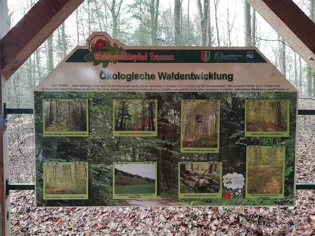 Informationspavillon Naturnahe Waldwirtschaft (2) Informationspavillon Naturnahe Waldwirtschaft (2)