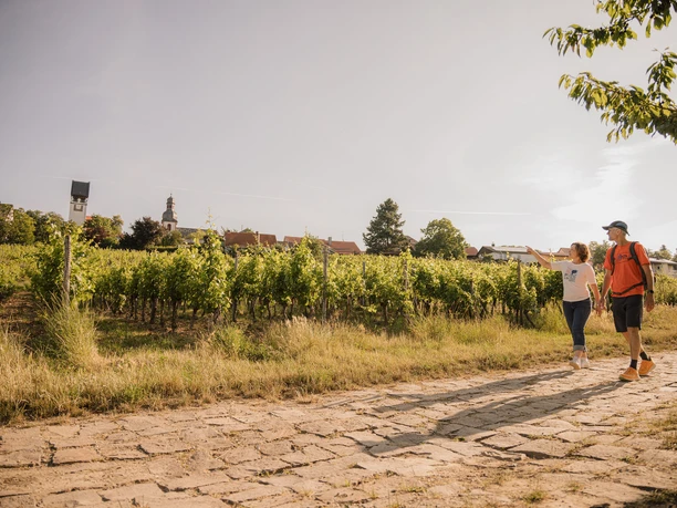 Wandern auf dem Zellertalweg