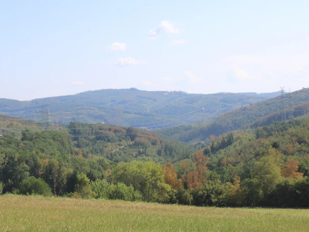 Aussicht Steinerother Tal
