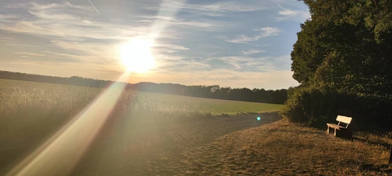 Aussicht Mönchsheide