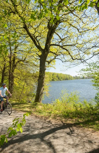Blick auf den Postweiher