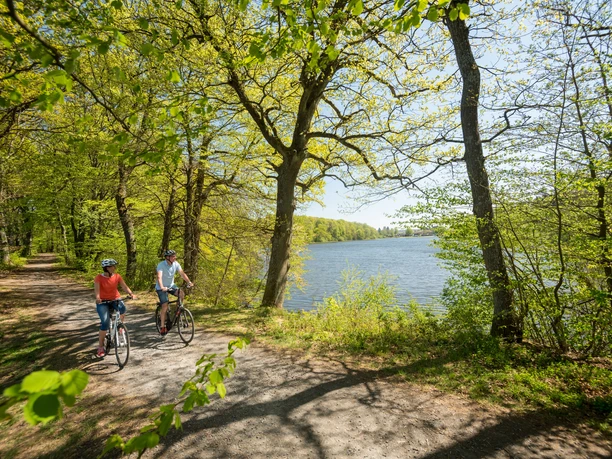 Blick auf den Postweiher