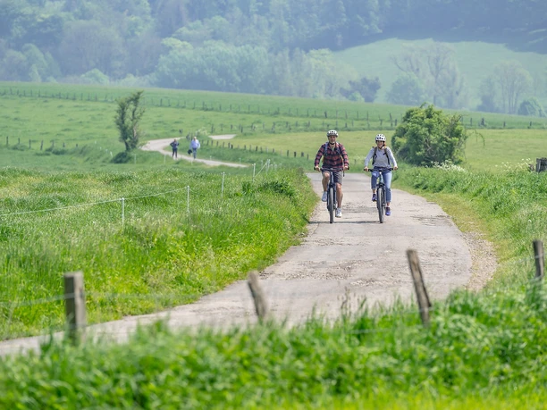Radweg in der Nähe von Seffent