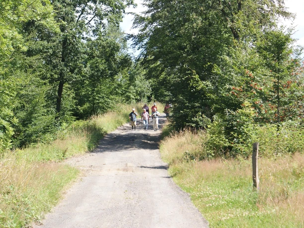 Wandergruppe auf der Alten Poststraße