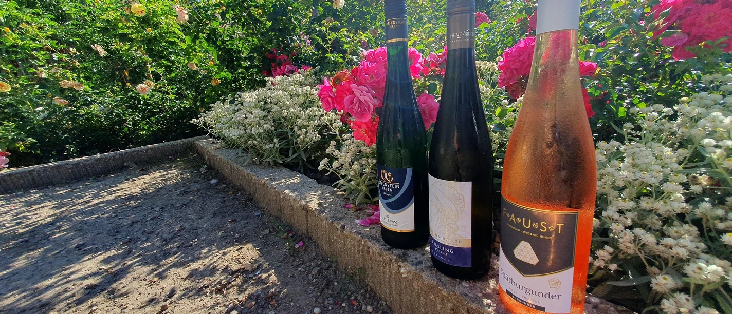 Weinprobe_Zwinger_KF_Burg_Rosen_Sommer_2023 (16)