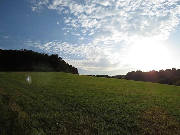 Weitblick am "Langscheider Wacholderblick"