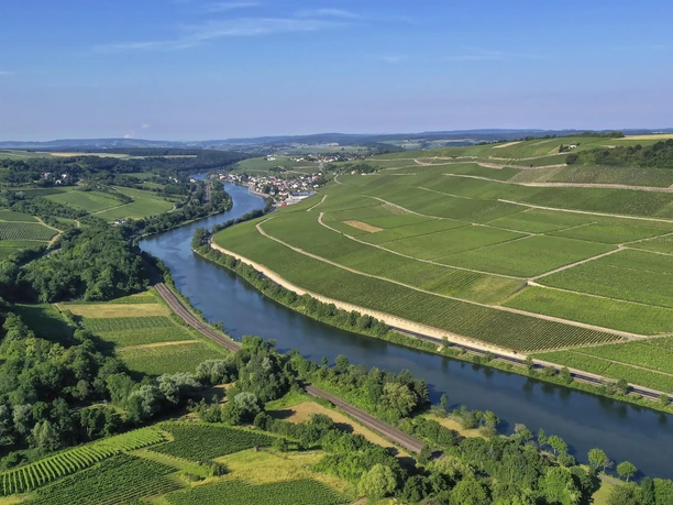 Südliche Weinmosel (2)