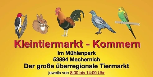 Kleintiermarkt Kommern