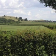 Landschaft bei Schwirzheim