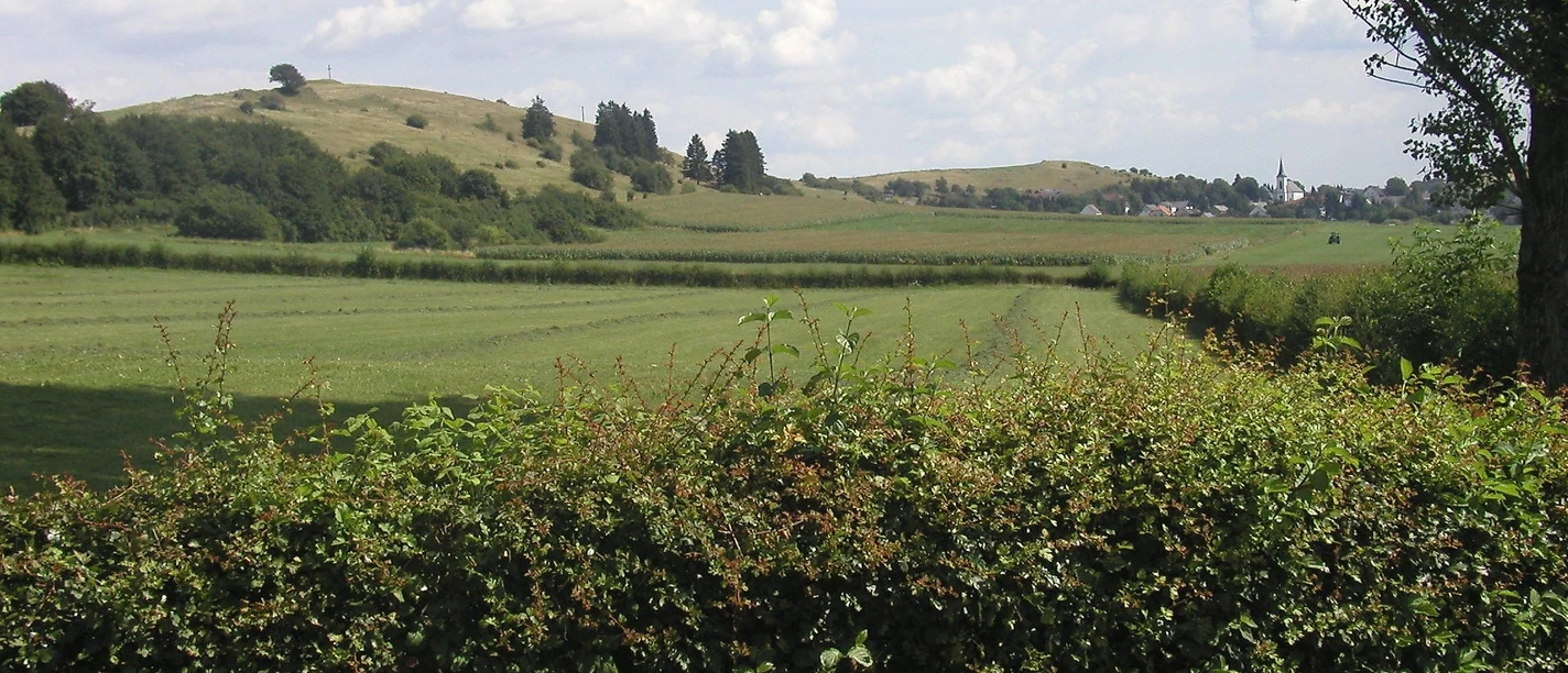 Landschaft bei Schwirzheim