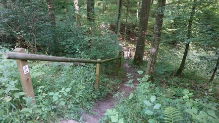 Brücke über den Tiefenbach