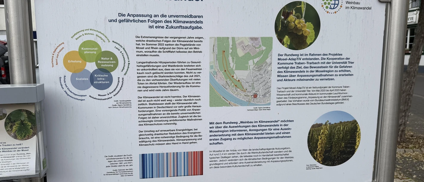 Rungweg Weinbau im Klimawandel