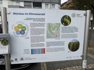 Rungweg Weinbau im Klimawandel