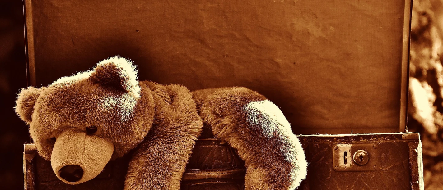 Teddy