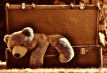 Teddy
