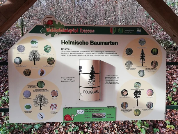 Informationspavillon Lebensraum Wald (2) Informationspavillon Lebensraum Wald (2)