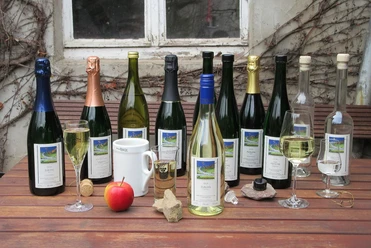 Weingut Zusammenfluss Konz