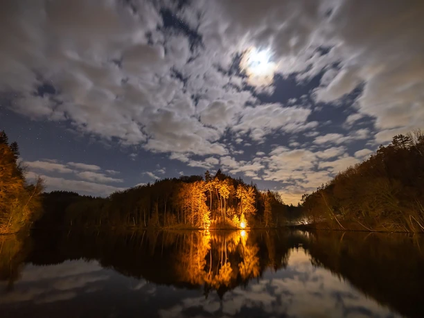 Eiswoog im Mondschein
