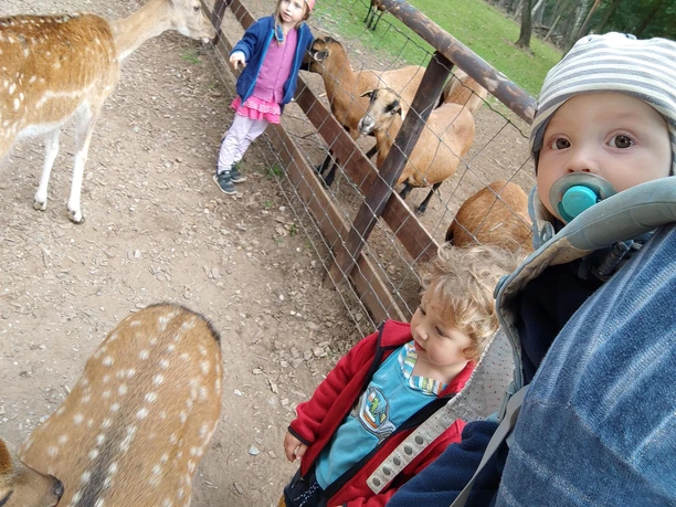 Hochwildpark Kommern