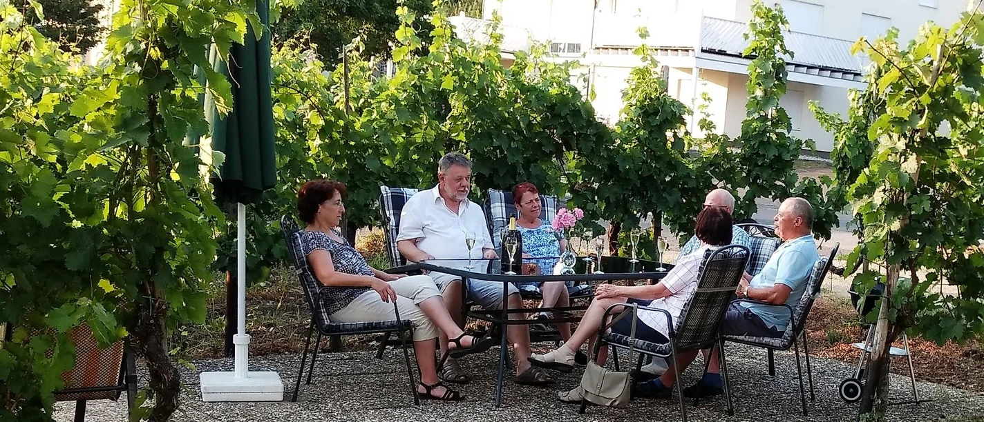 Weinlaube im Weingut Heinz Dostert Nittel