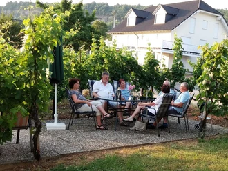 Weinlaube im Weingut Heinz Dostert Nittel