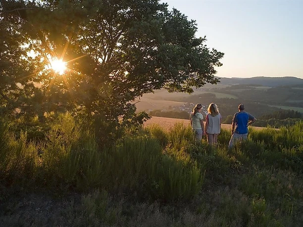 Sonnenuntergang in der Heide
