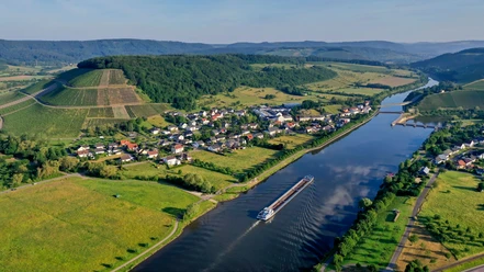 Blick auf die Weinlage Ayler KUpp