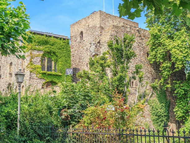 Brömser Burg im Frühjahr