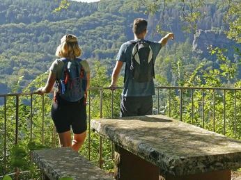 Traumschleife Kasteler Felsenpfad (3)