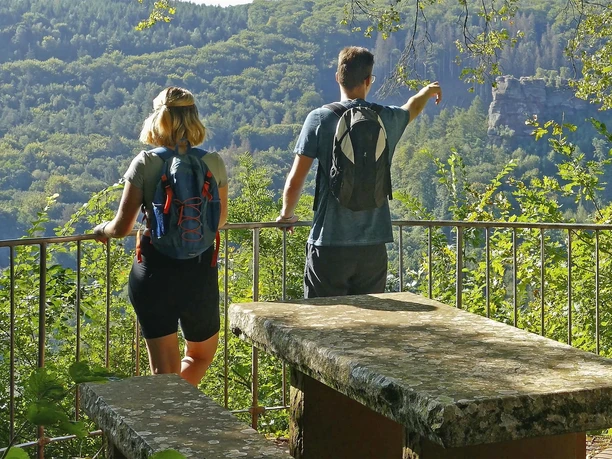 Traumschleife Kasteler Felsenpfad (3)